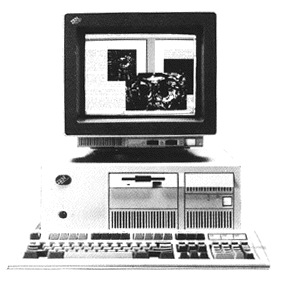 【未使用希少品】IBM PS/2 Model M 2001年製 未使用希少品】IBM PS/2 Model M 2001年製