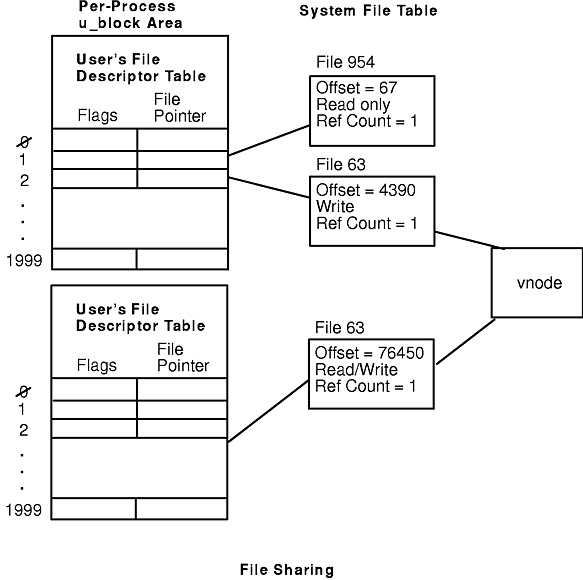 Using File Descriptors