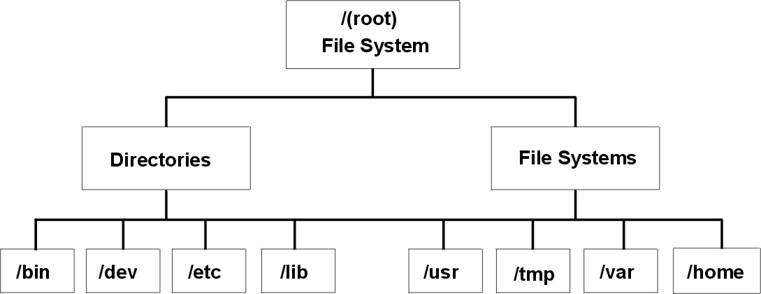 Figure basea14 not displayed.